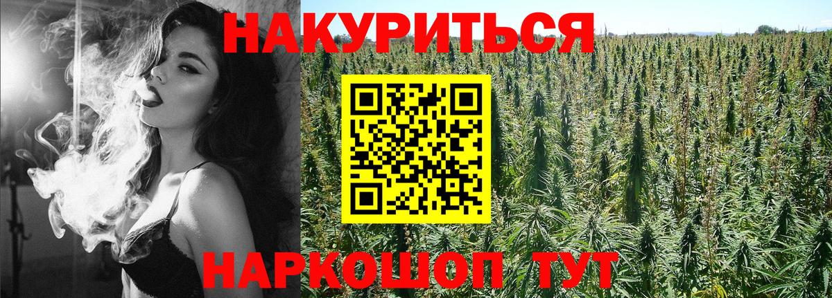 Бошки Шишки сатива Казань